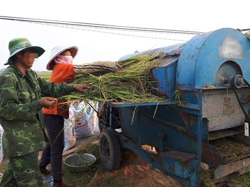 Tình yêu, Hạnh phúc gia đình, Con bất hiếu, Tâm sự