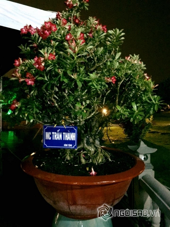 Trấn Thành, Trấn Thành cúng tổ, Trấn Thành mặc lôi thôi khi cúng tổ, Trấn Thành và Hari Won, scadal Trấn Thành, sao việt 
