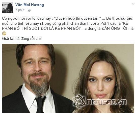 sao việt, sao Việt ly hôn, Angelina Jolie và Brad Pitt, Angelina Jolie và Brad Pitt ly hôn, Phạm Hương, Đỗ Mạnh Cường, 