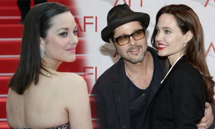 Angelina Jolie - Brad Pitt, Brad Pitt ngược đãi con, Brad Pitt bạo lực các con