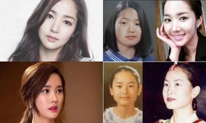 sao Hàn,thành tích học tập của sao Hàn,Park Sung Woong,John Park,Kim Yong Gun,Gong Hyo Jin