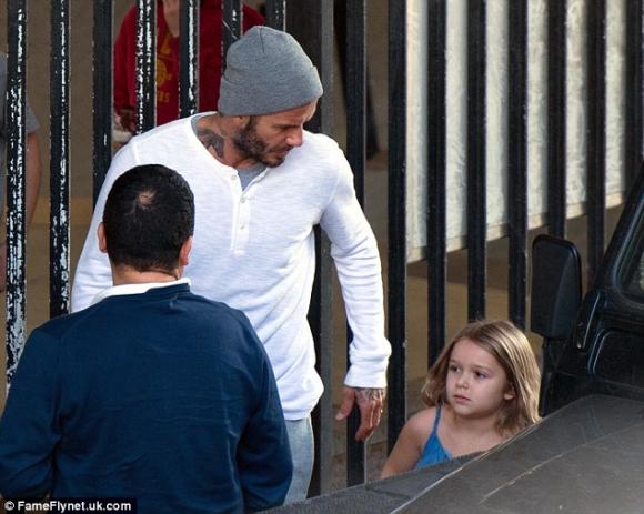 sao nhí Hollywood,bé Harper,Harper ra dáng thiếu nữ,David Beckham