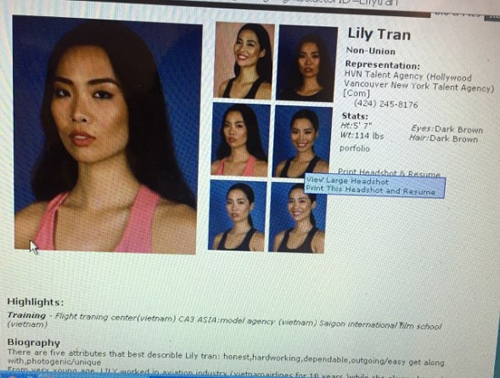 Kiko Chan, Người mẫu Kiko Chan, Sao Việt