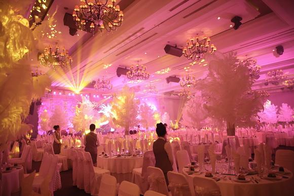 Simon Tứ, Sinh nhật Mr Đàm, Đàm Vĩnh Hưng, Sao Việt