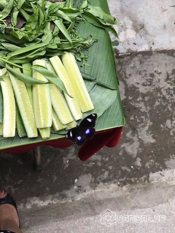 sao việt, ngày giỗ sao việt, lê công tuấn anh, ngày giỗ lê công tuấn anh, sao việt giỗ lê công tuấn anh, cái chết của lê công tuấn anh