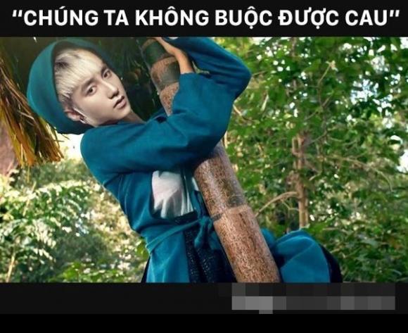 sao việt, sao việt bị chế ảnh, chế ảnh hà hồ, chế ảnh hạ vi ngã cây, chế ảnh hồ ngọc hà