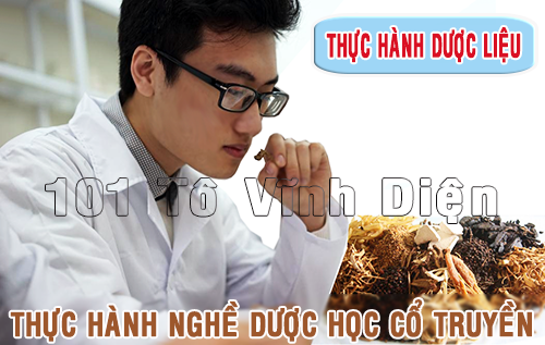 Y sĩ Y học cổ truyền, Y học cổ truyền, Trường Trung cấp Y khoa Pasteur