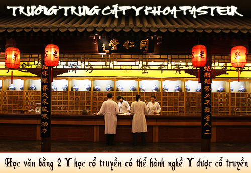 tuyen-sinh-van-bang-2-trung-cap-y-hoc-co-truyen-tphcm-2810-1-ngoisao.vn-w500-h345 1 Đông Y, Y học cổ truyền, Trung cấp Đông Y