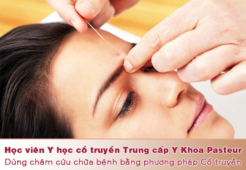 Y học cổ truyền,Trung cấp Đông Y, Trường Cao đẳng Y Dược Pasteur