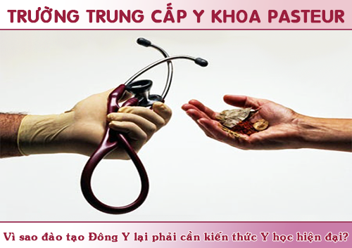 Y học cổ truyền,Trung cấp Đông Y, Trường Cao đẳng Y Dược Pasteur