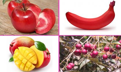 thực phẩm kiêng chế biến chung với cà chua, cà chua thành độc khi nấu chung với một số thực phẩm, cà chua và dưa chuột