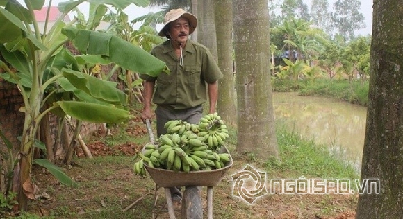 sao việt, sao việt nghèo, sao việt giàu, sao việt giản dị, sao việt ăn vỉa hè