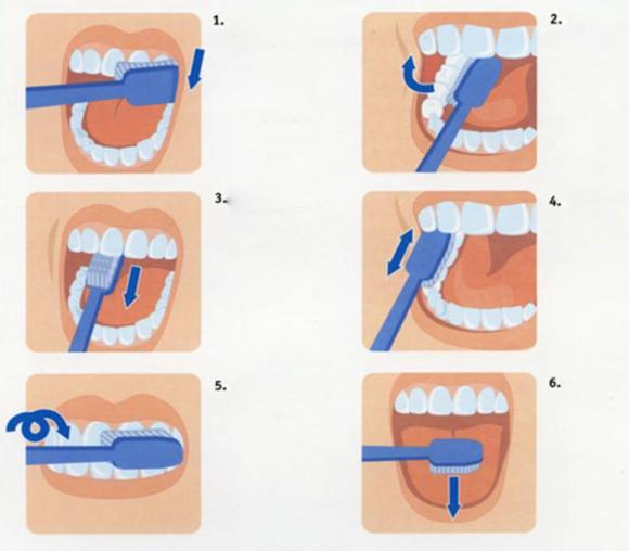 đánh răng, đánh răng đúng cách, đánh răng chuẩn, vệ sinh răng, chăm sóc răng miệng,