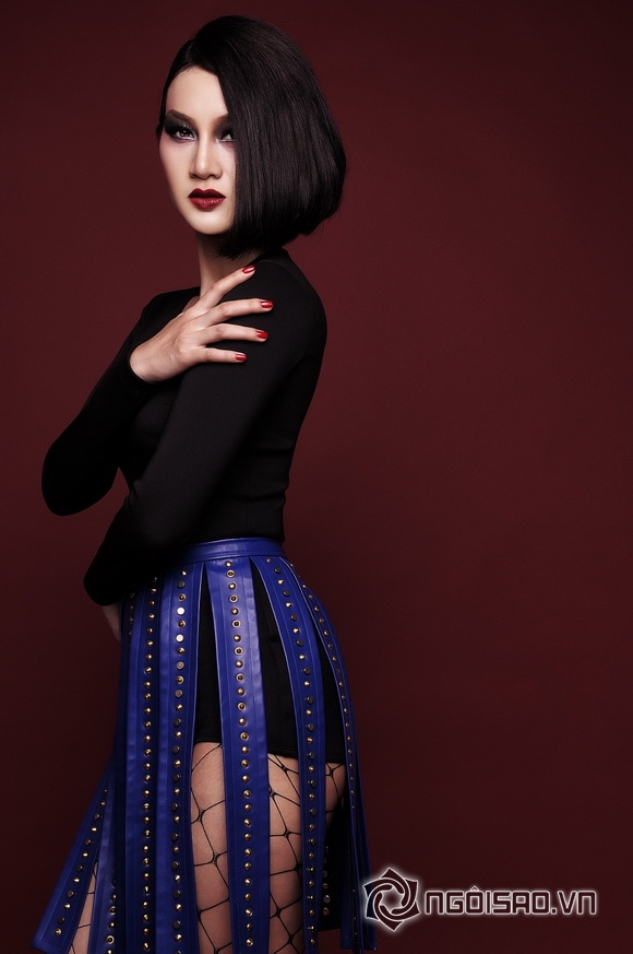 Phi Ngọc Ánh, diễn viên Phi Ngọc Ánh, Sao Việt