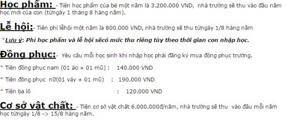 sao việt, con sao việt, học phí con sao việt, tuấn hưng, con trai tuấn hưng