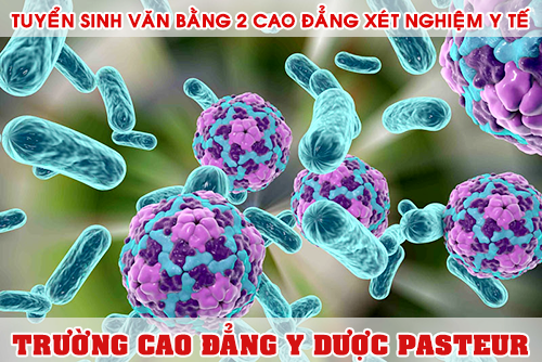 Cao đẳng Y Dược, Văn bằng 2 Cao đẳng Y Dược, 
