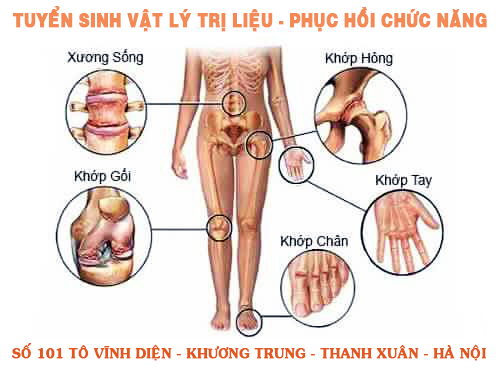 Vật lý trị liệu Phục hồi chức năng, Y Dược cổ truyền, Trường Cao đẳng Y Dược Pasteur Hà Nội