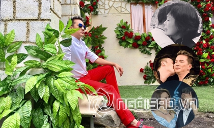 sao việt, đàm vĩnh hưng, ca sĩ đàm vĩnh hưng, đàm vĩnh hưng đón noel, đàm vĩnh hưng không tổ chức giáng sinh