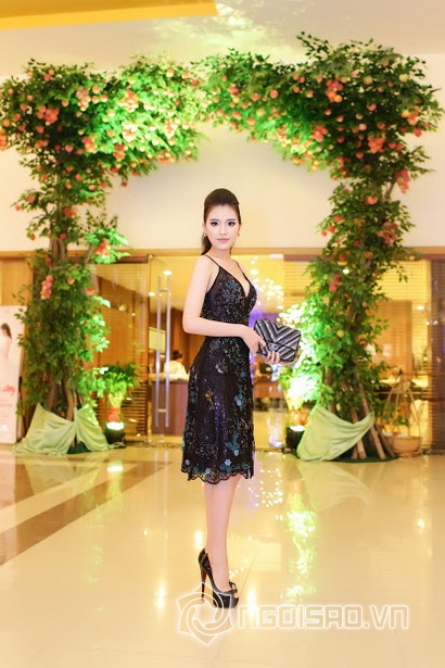 Sammy Dung, Hotgirl Sammy Dung, Sao Việt