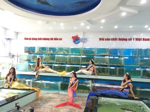 the-gioi-han-san-3112-2-ngoisao.vn-w500-h375 3 Thế Giới Hải Sản, Siêu thị Thế Giới Hải Sản, Hải Sản ngon ở Sài Gòn