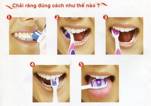 Nguyên tắc vệ sinh răng miệng, vệ sinh răng miệng, vệ sinh