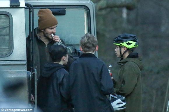 ,victoria david beckham, david beckham, Victoria Beckham, Harper, sao Hollywood