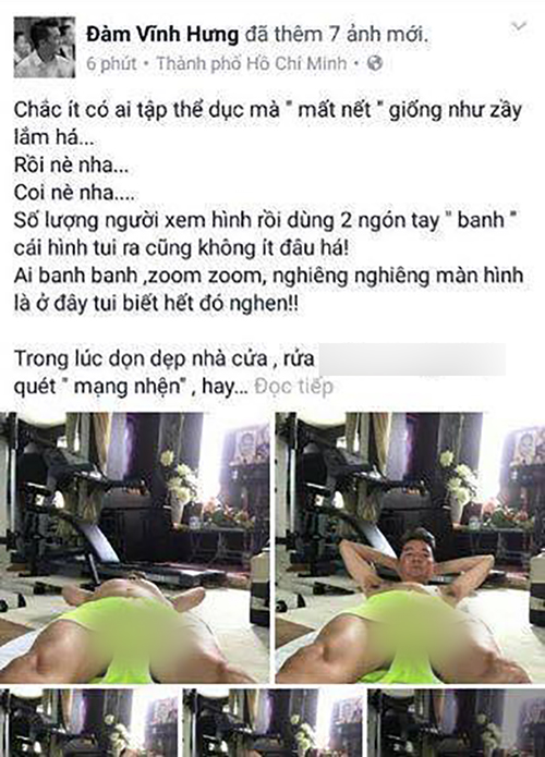 mr đàm, đàm vĩnh hưng, sao việt