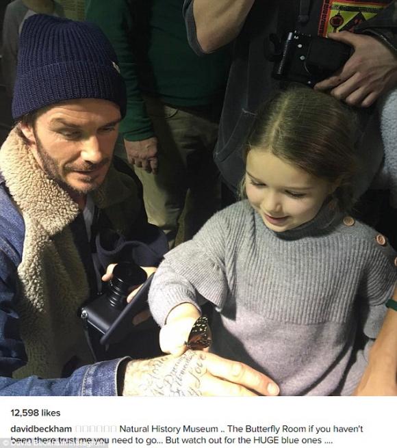 harper, cầu thủ David Beckham, con gái David Beckham, sao Hollywood