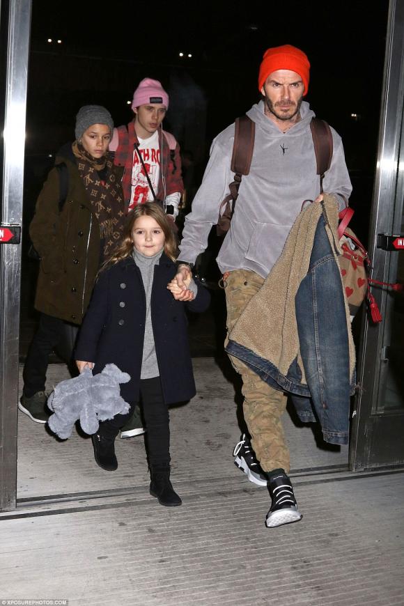 David Beckham, David Beckham và victoria, con gái David Beckham, harper, sao Hollywood