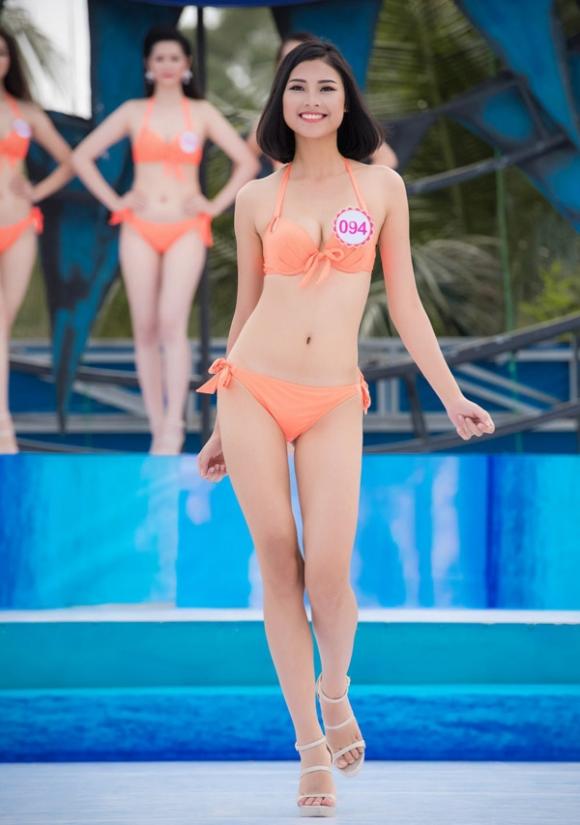 Phạm Hương, Hoa hậu Phạm Hương, Hoa hậu hoàn vũ Việt Nam 2017, Hoa hậu hoàn vũ Việt Nam
