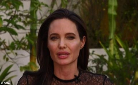 Angelina Jolie,Diễn viên Angelina Jolie,Pax Thiên,con trai nuôi gốc Việt Pax Thiên,sao Hollywood