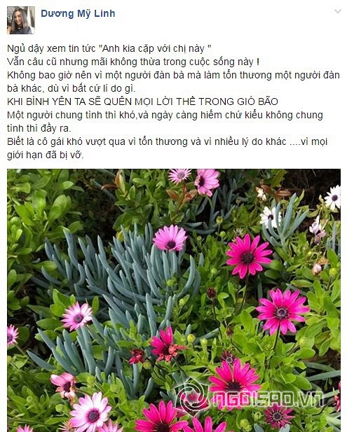 Lâm Vinh Hải, sao Việt, Linh Chi, Lâm Vinh Hải và Linh Chi