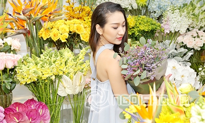 sao việt, hương tràm, hương tràm cao bao nhiêu, hương tràm ăn gian chiều cao, hương tràm cao bao nhiêu 