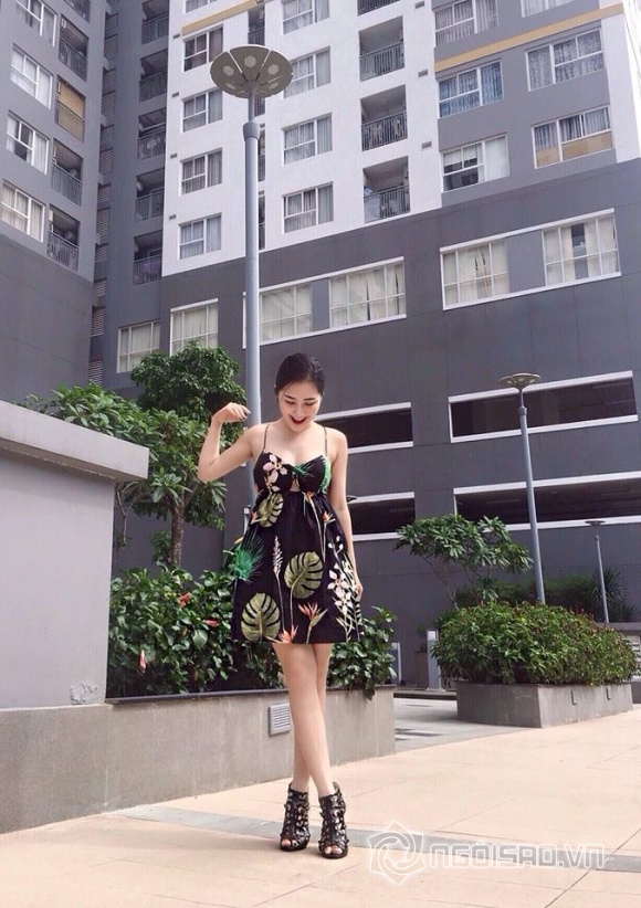 sao việt, hương tràm, hương tràm cao bao nhiêu, hương tràm ăn gian chiều cao, hương tràm cao bao nhiêu 