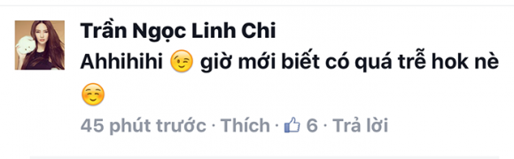 Lâm Vinh Hải, Lâm Vinh Hải scandal, vũ công Lâm Vinh Hải, Linh Chi, sao Việt