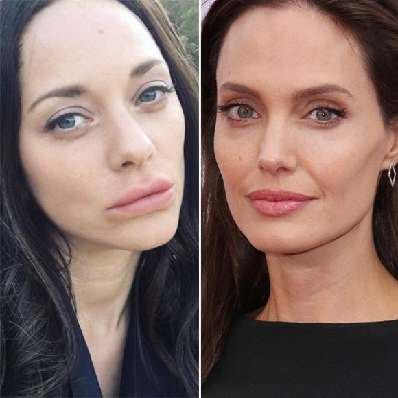 Angelina Jolie,nữ diễn viên Marion Cotillard, Diễn viên Angelina Jolie,bông hồng pháp Marion Cotillard, sao Hollywood