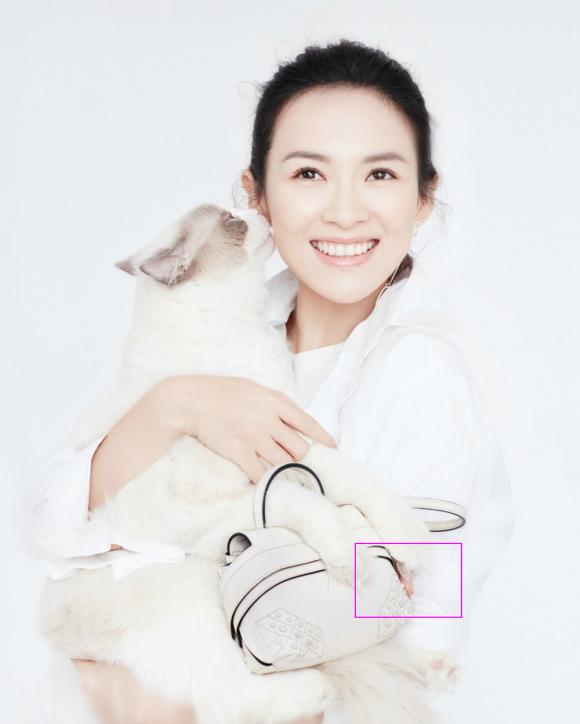 sao Hoa ngữ,Chương Tử Di,ảnh của Chương Tử Di