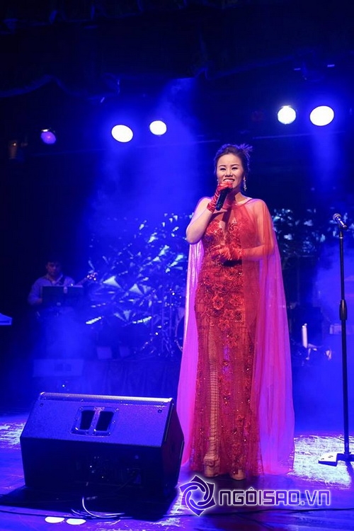 Vivian Văn, Hoa hậu Vivian Văn, Sao việt