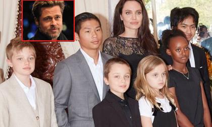 Angelina Jolie, sao Hollywood, nữ diễn viên Angelina Jolie , Angelina Jolie ly hôn