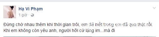 Hạ Vi, Cường Đô la, Hạ Vi và Cường Đô la, sao Việt