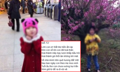 Nghi phạm sát hại bé gái Việt, Shibuya Yasumasa, Bé gái người Việt bị sát hại tại Nhật