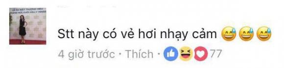 Hồ Ngọc Hà, vợ đại gia, vợ đại gia đá xoáy Hồ Ngọc Hà, Hà Hồ, sao việt