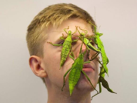 đời sống trẻ, chàng trai cho côn trùng lên mặt, chàng trai nuôi côn trùng, Adrian Kozakiewicz, nhịp sống trẻ