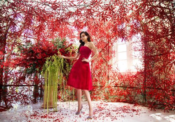 Hồ Ngọc Hà, ca sĩ Hồ Ngọc Hà, Hà Hồ