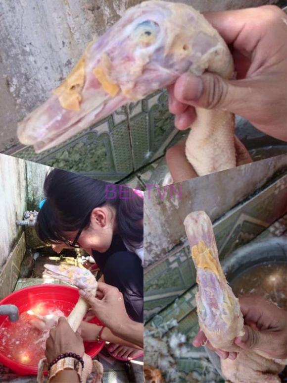 nhổ lông vịt, nhổ lông, cô gái nhổ lông vịt