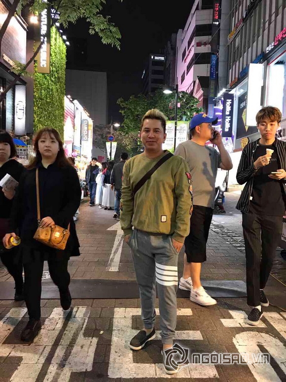 Quang Toàn, Ca sĩ Quang Toàn, Đàm Vĩnh Hưng, Sao Việt