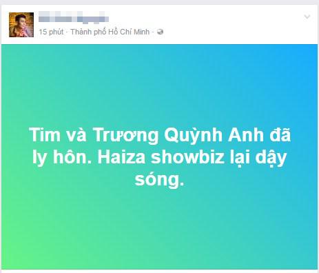 Trương Quỳnh Anh, Tim và Trương Quỳnh Anh, Tim và Trương Quỳnh Anh ly hôn, sao Việt