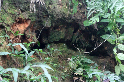 hầm mộ bí ẩn chứa đầy vàng tại Hà Nam, hầm mộ bí ẩn, hầm mộ chứa đầy vàng
