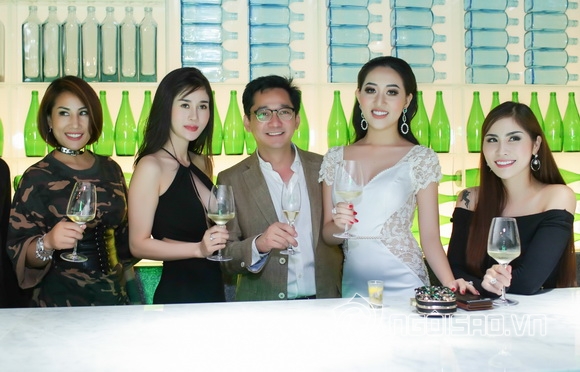 Hoa Hậu Huỳnh Thuý Anh, Huỳnh Thúy Anh, Sao Việt