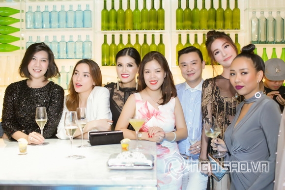 Hoa Hậu Huỳnh Thuý Anh, Huỳnh Thúy Anh, Sao Việt